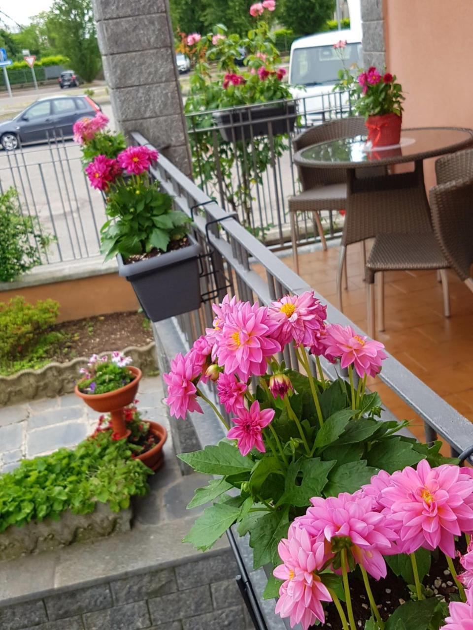 Villa Rosina Rho Exteriér fotografie